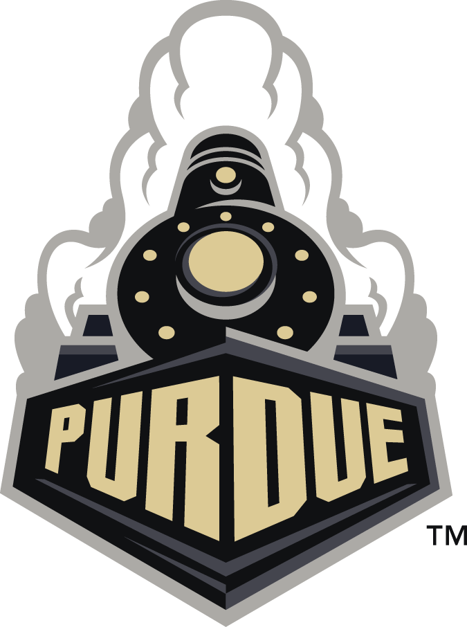 Purdue Boilermakers 2012-Pres Alternate Logo v2 DIY iron on transfer (heat transfer)